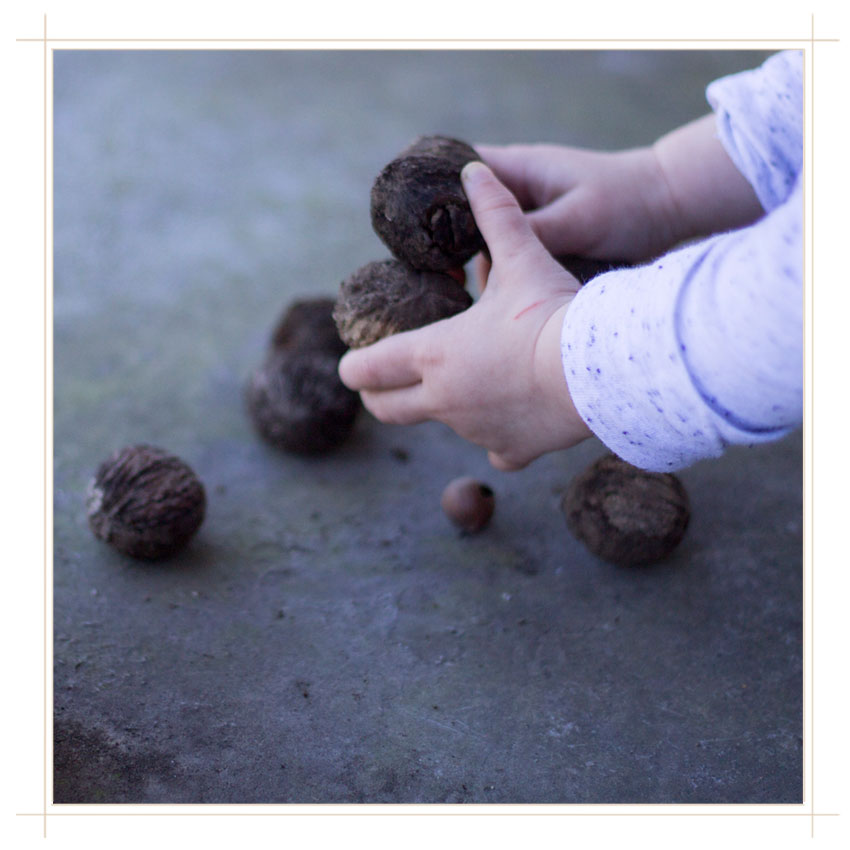 Carefully counting walnuts as she works to balance the bundle in her hands.