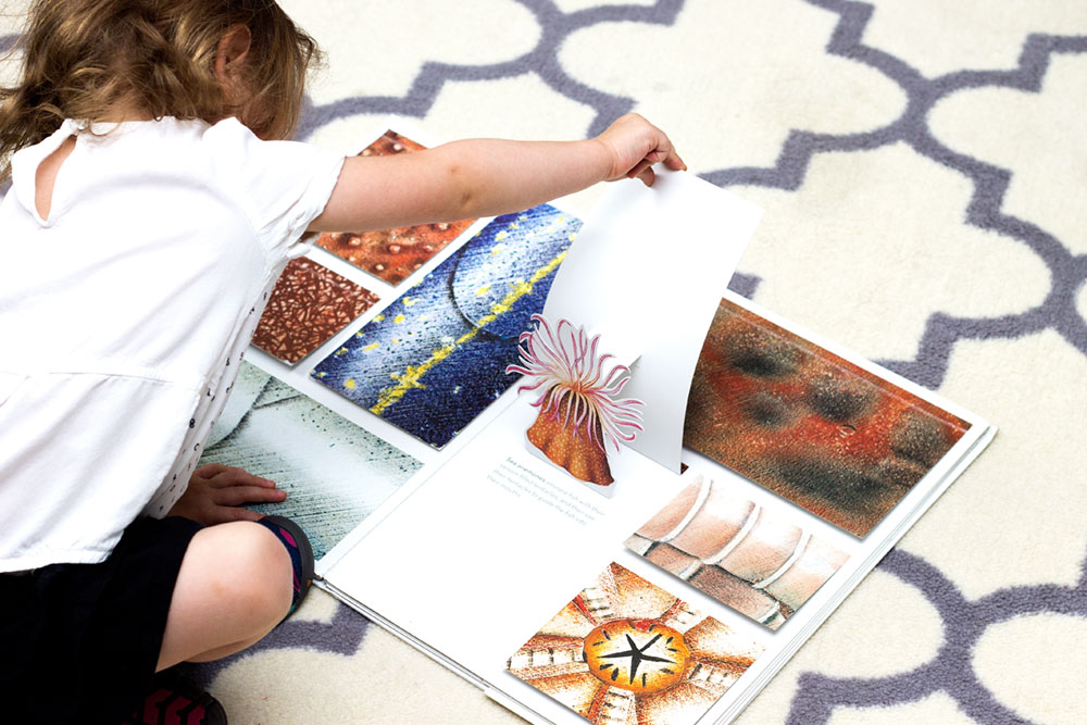 The Open Ocean is an engaging Montessori-friendly books about ocean wildlife geared specficially for young toddlers and preschoolers. 
