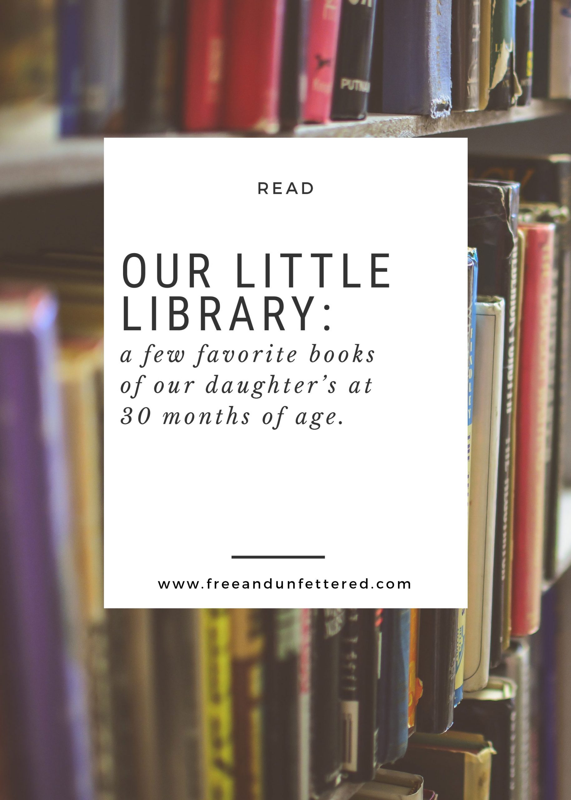 Little Library: Our Favorite Books in August