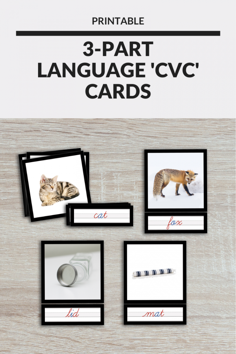 Printable Montessori CVC Cards