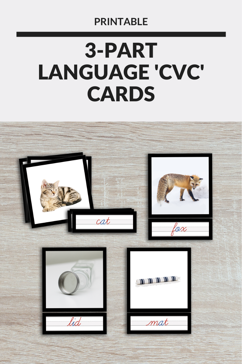 Printable Montessori CVC Cards - Free and Unfettered